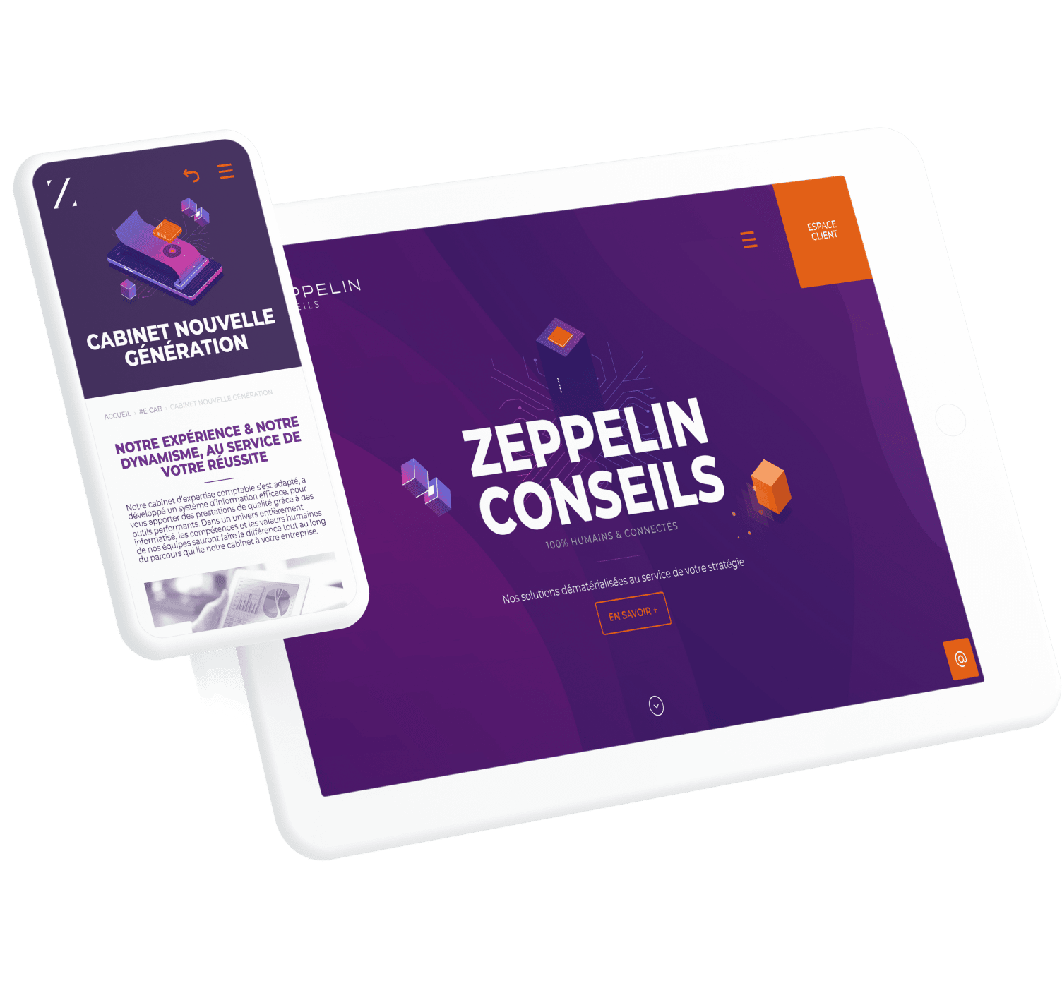 Zeppelin Conseils, client de l'agence digitale Data Projekt - Positionnement & Logo - Création de site web wordpress & motion design